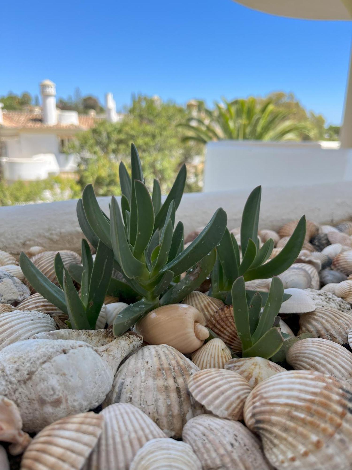 Casadeleon - Costadelsol Vacations & Remote Work Sitio de Calahonda Екстер'єр фото